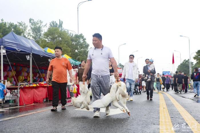 图片 2