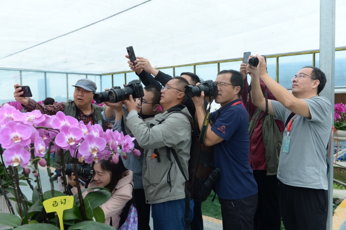 (全媒体)“媒眼”看“花谷”_以“花”为(4362619)-20230926091040 (全媒体)“媒眼”看“花谷”_以“花”为(4362619)-20230926091040