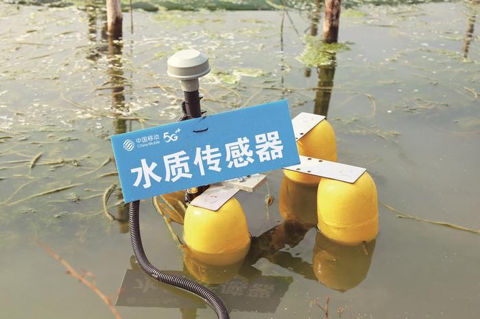 霸王蟹2