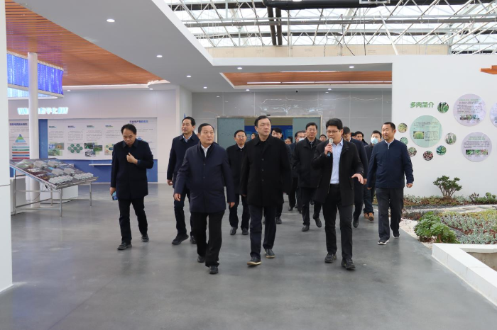 图片1 图片1