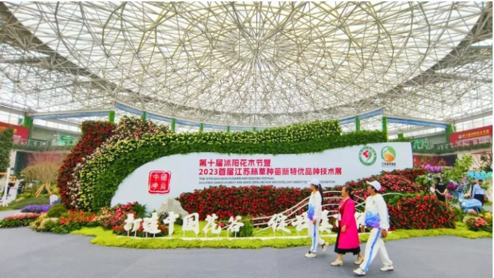 微信截图_20240103090516