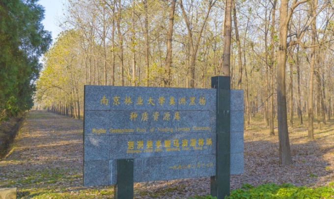 微信截图_20240306152928 微信截图_20240306152928