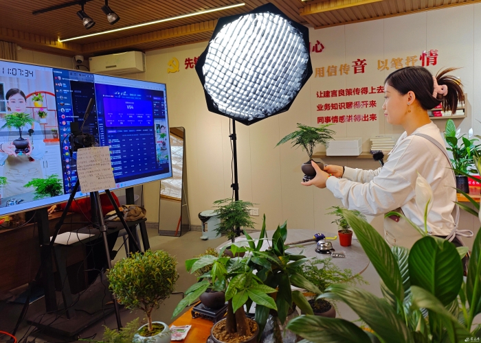 小微盆景线上热销(报纸)(6934766)-20240325083837 小微盆景线上热销(报纸)(6934766)-20240325083837