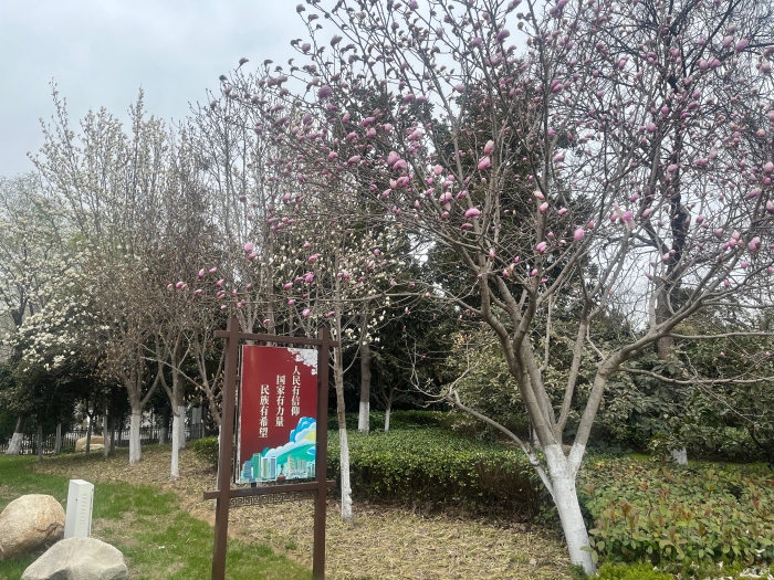 （全媒，宿迁发布）烂漫春光好&nbsp;这份赏花地(6933852)-20240325084724