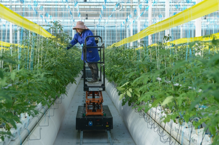 智慧农业助力乡村振兴（全媒体）(分离图)(4865540)-20231107083609