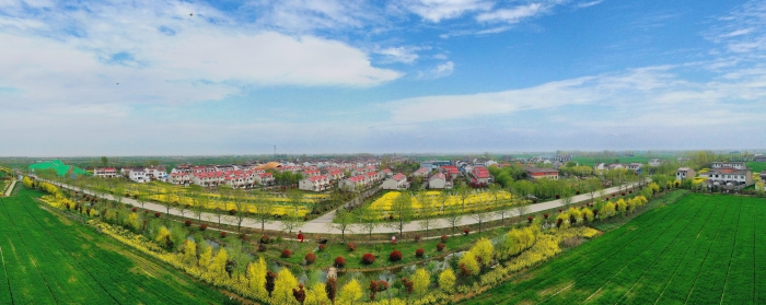 （泗阳专版）图片(分离图)DJI_069(7146123)-20240409091906