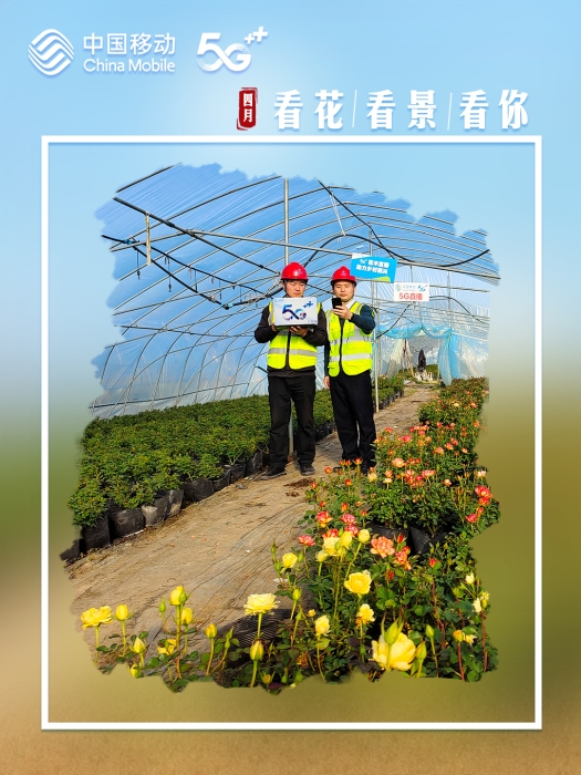 四月看花看景看你6