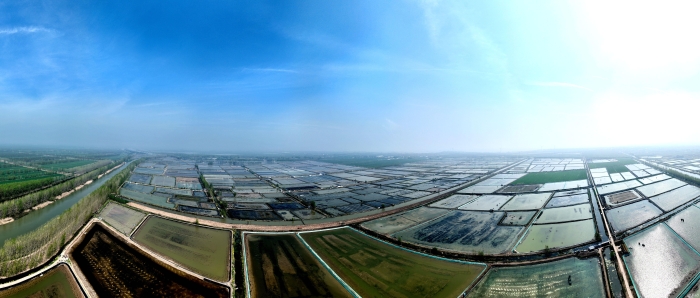 (全媒体)图说∣泗洪:水上春耕正当时 鱼(7218845)-20240413085033 (全媒体)图说∣泗洪:水上春耕正当时 鱼(7218845)-20240413085033