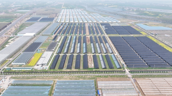 （晚报、速新闻）&ldquo;&lsquo;质&rsquo;&lsquo;地&rsquo;&rdquo;有声系列(7295131)-20240418094324