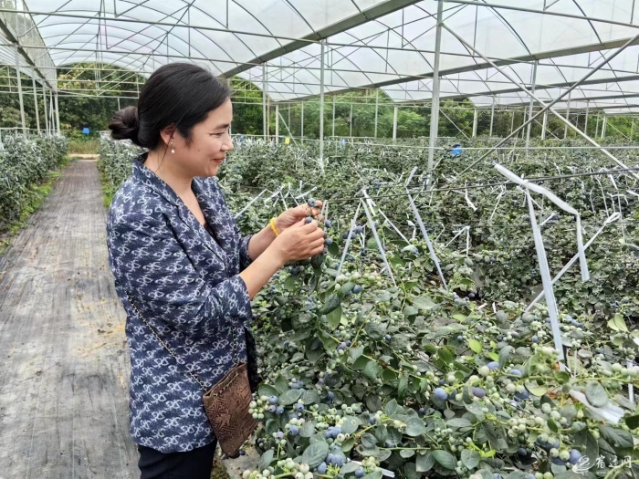 （全媒）&ldquo;小屏幕&rdquo;打开&ldquo;大市场&rdquo;，乡村产(7295125)-20240418094305