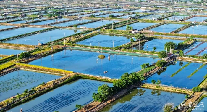 QQ图片20240516112010