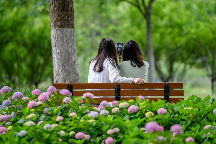 7f0fc153550a40ca8ddf4301ac341cd4