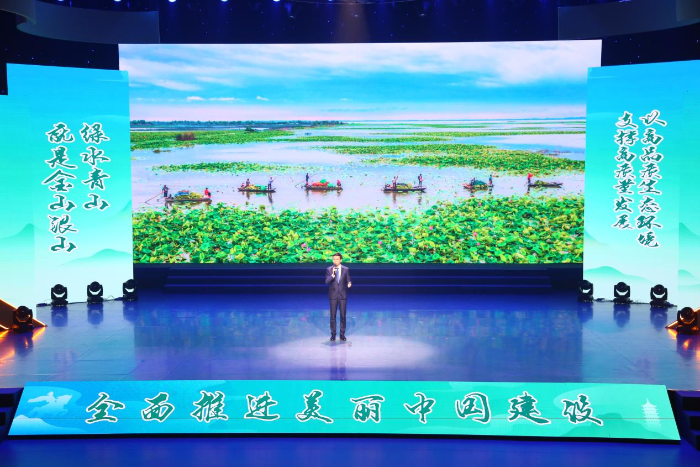 图片16 图片16