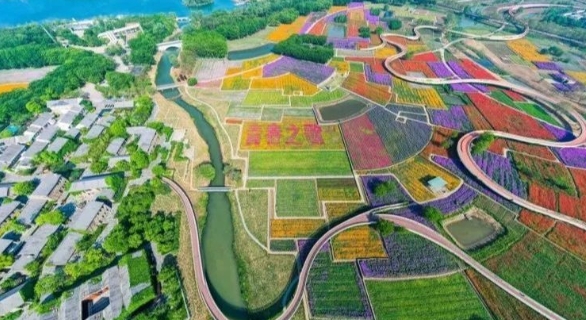 微信截图_20240628090334