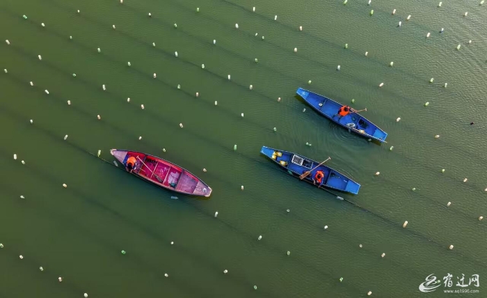 QQ图片20240808094200 QQ图片20240808094200