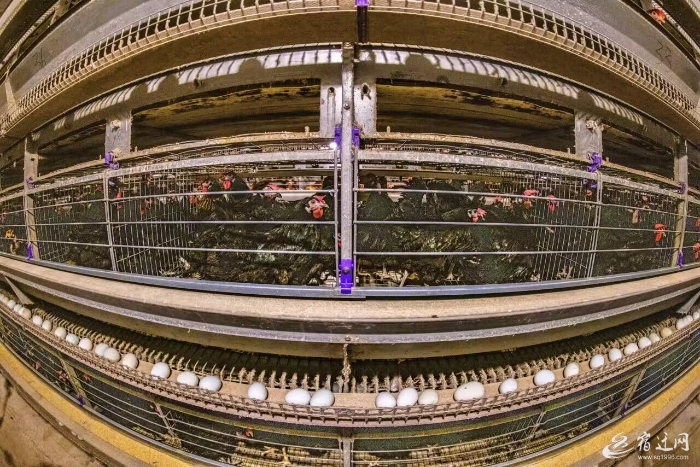 QQ图片20240809113140