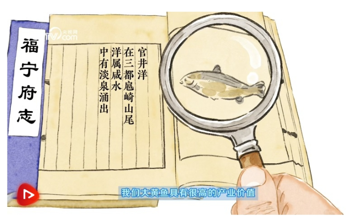 微信截图_20240816083155