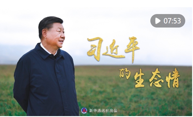 微信截图_20240817123543