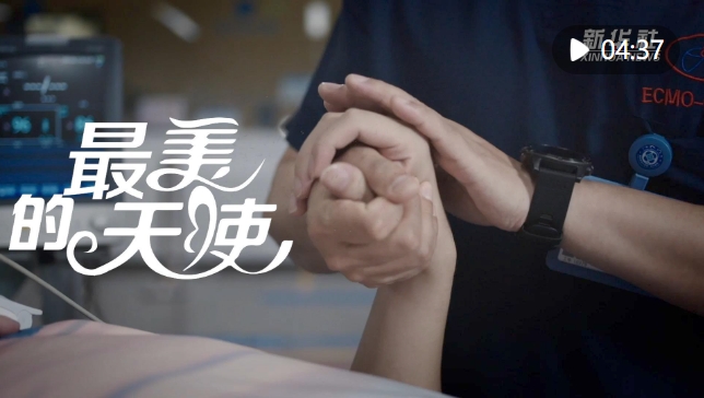 微信截图_20240818204051