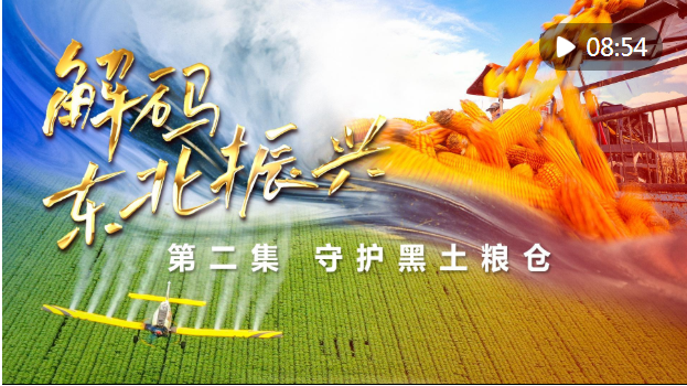 QQ截图20240828155122