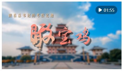 微信截图_20240912104313