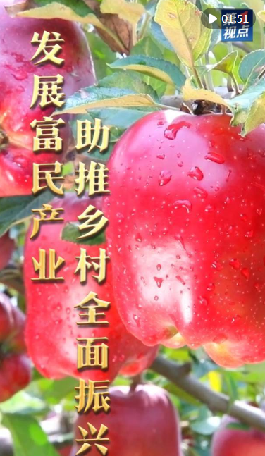 截图20240912213606