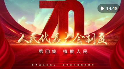 截图20240916081737