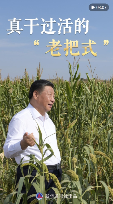 微信截图_20240923131704