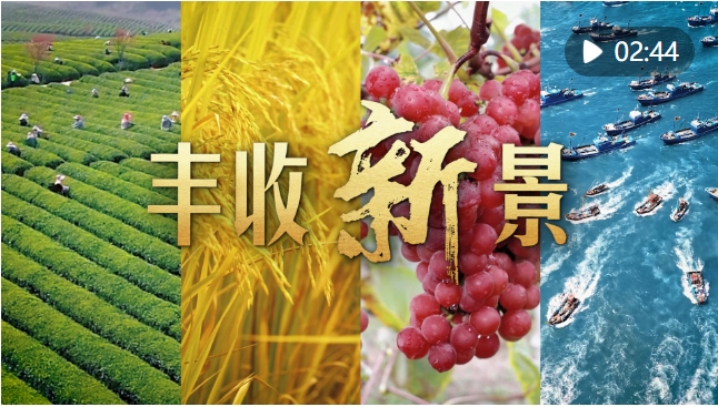 微信截图_20240923194644
