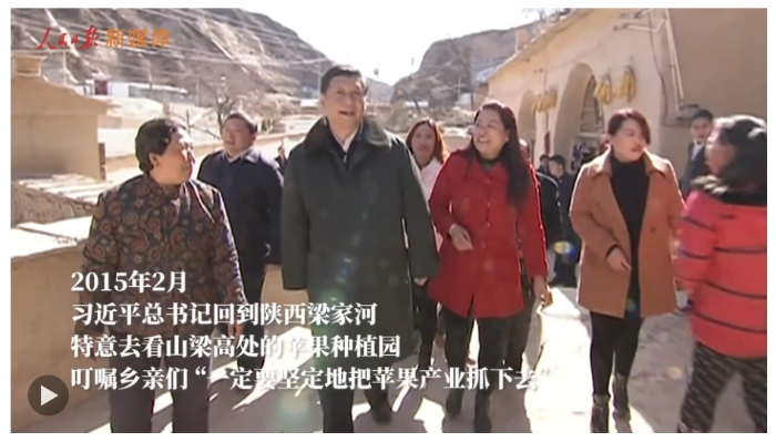 微信截图_20241007114744