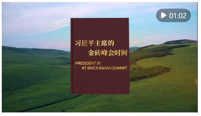 微信截图_20241024195355