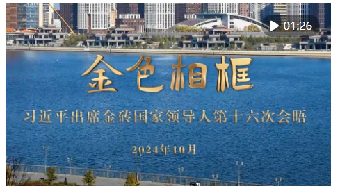 微信截图_20241025161241