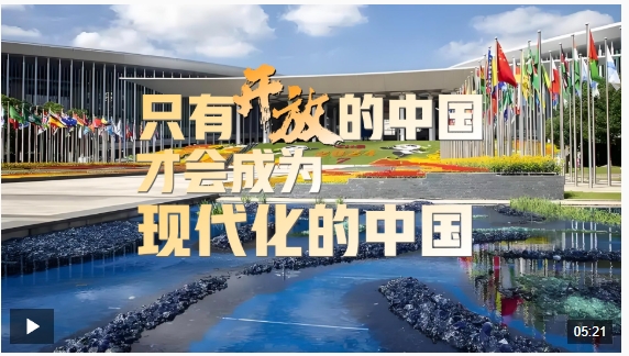 微信截图_20241110211254