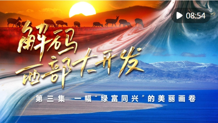 微信截图_20241111083537