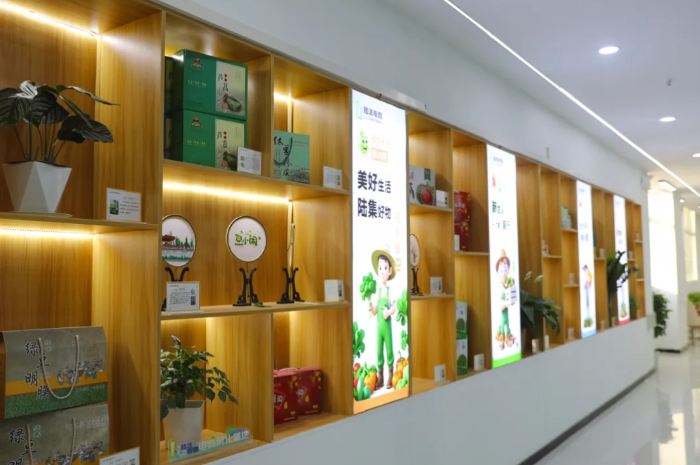 微信截图_20241111090701