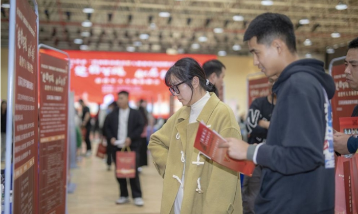 微信截图_20241112085138