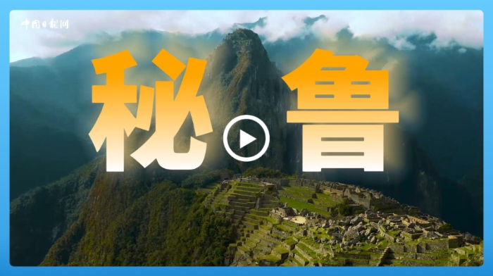 微信截图_20241112094348
