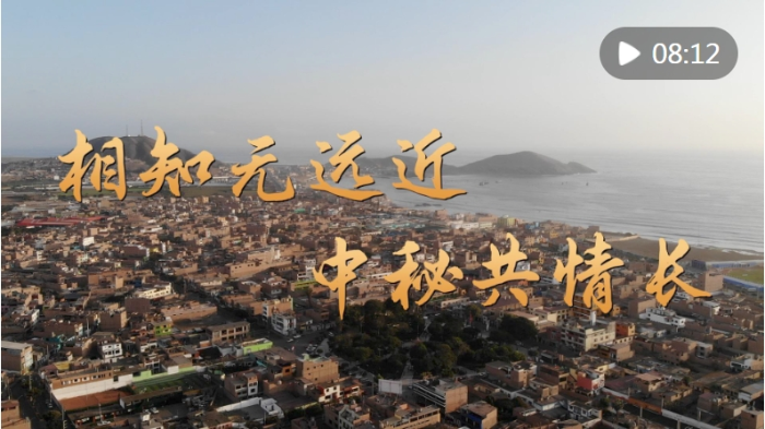 微信截图_20241114081335