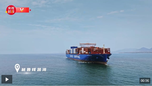 微信截图_20241115081239