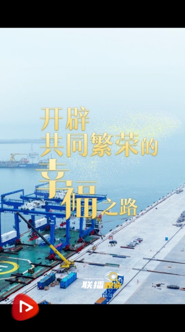 微信截图_20241117190915