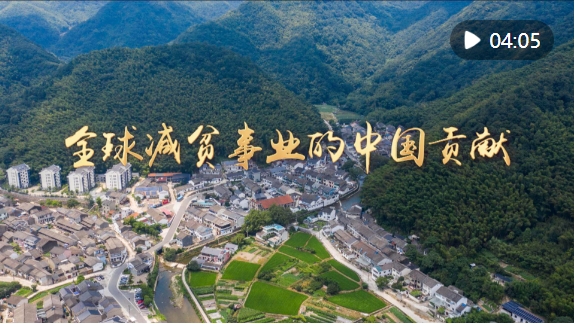 微信截图_20241120184802