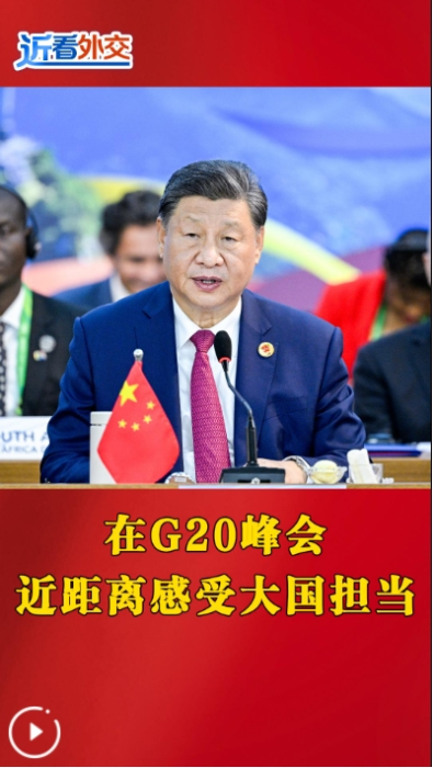 微信截图_20241120215111