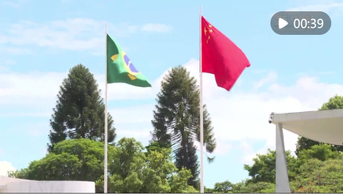 微信截图_20241120215439