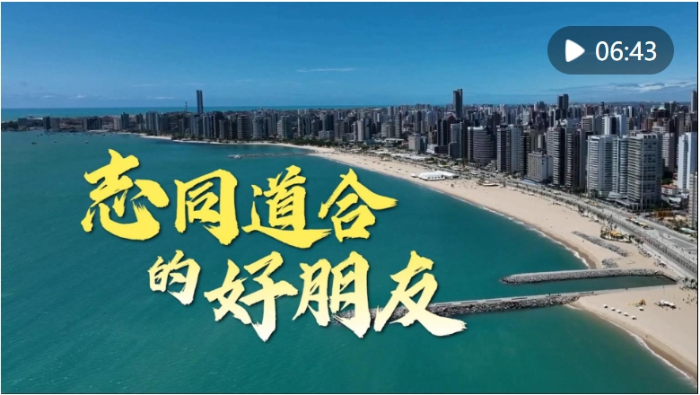 微信截图_20241121190625