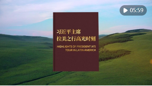 微信截图_20241124171248