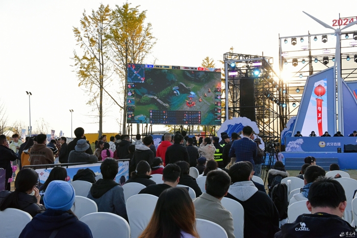 图说_2024 虎牙&ldquo;项王杯&rdquo;朱海乡村电(10592745)-20241125085808