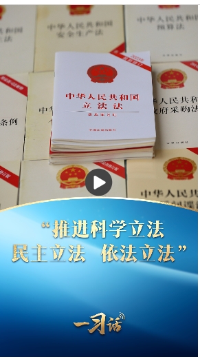 微信截图_20241203150251