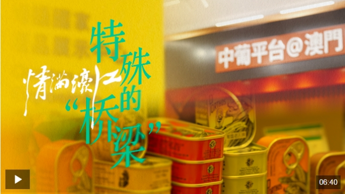 微信截图_20241216214603