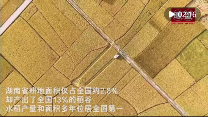 微信截图_20241218202701