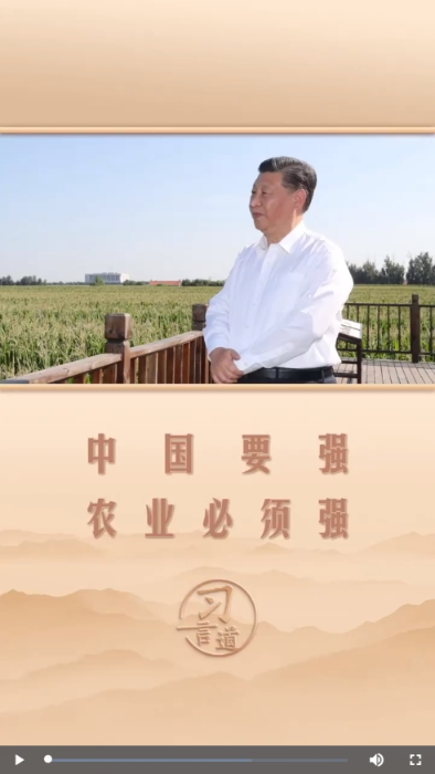 微信截图_20241219162048